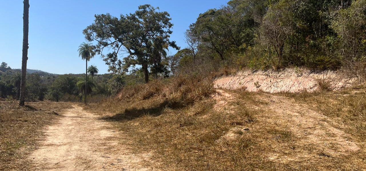 CHACARA EM FLORESTAL