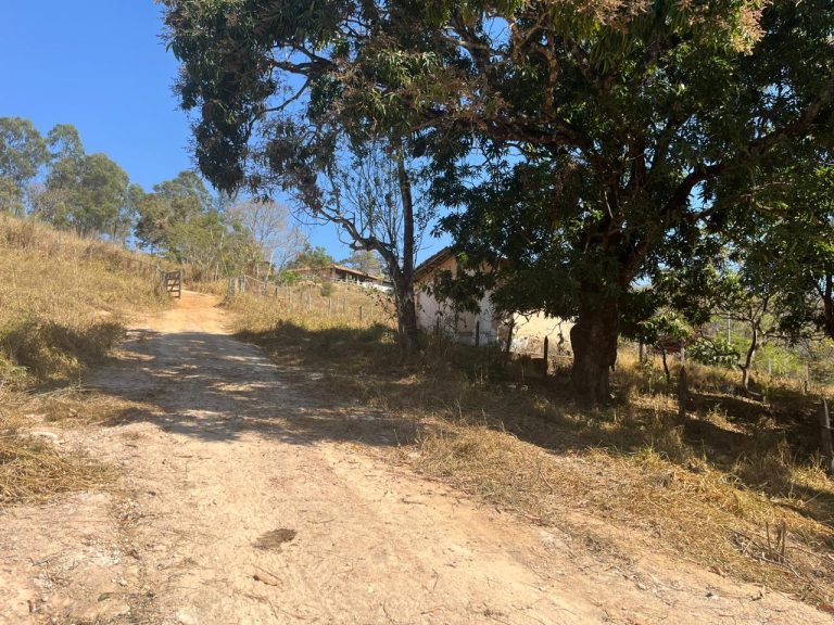 CHACARA EM FLORESTAL CHACARA EM FLORESTAL