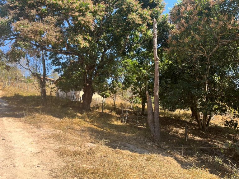 CHACARA EM FLORESTAL CHACARA EM FLORESTAL
