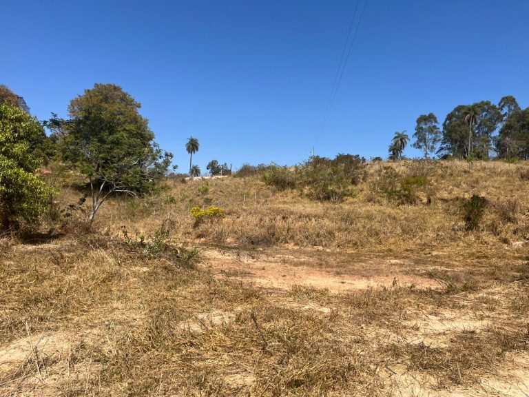 CHACARA EM FLORESTAL CHACARA EM FLORESTAL