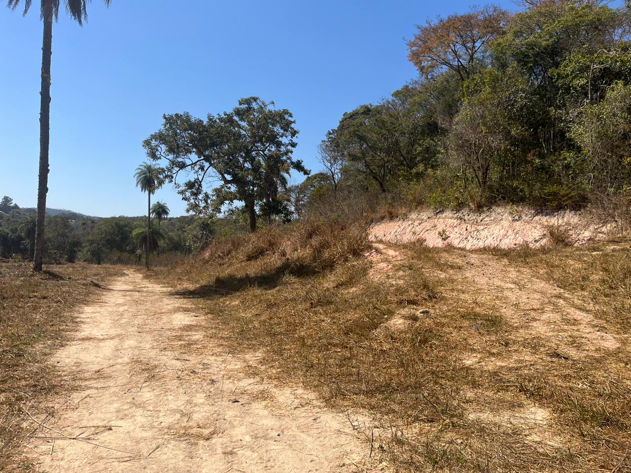 CHACARA EM FLORESTAL