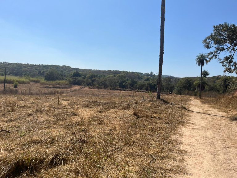 CHACARA EM FLORESTAL CHACARA EM FLORESTAL