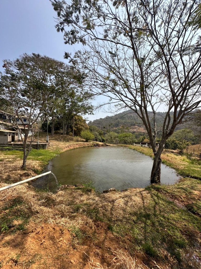 FAZENDA EM CARMÓPOLIS DE MINAS FAZENDA EM CARMÓPOLIS DE MINAS