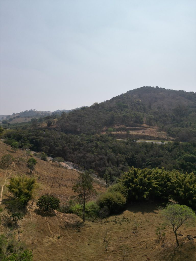 FAZENDA EM CARMÓPOLIS DE MINAS FAZENDA EM CARMÓPOLIS DE MINAS