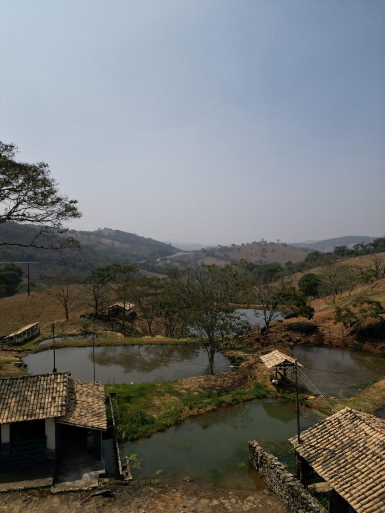 FAZENDA EM CARMÓPOLIS DE MINAS FAZENDA EM CARMÓPOLIS DE MINAS