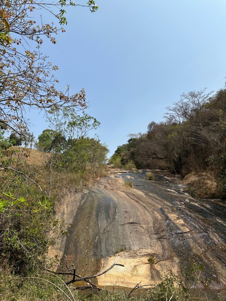 FAZENDA EM CARMÓPOLIS DE MINAS FAZENDA EM CARMÓPOLIS DE MINAS