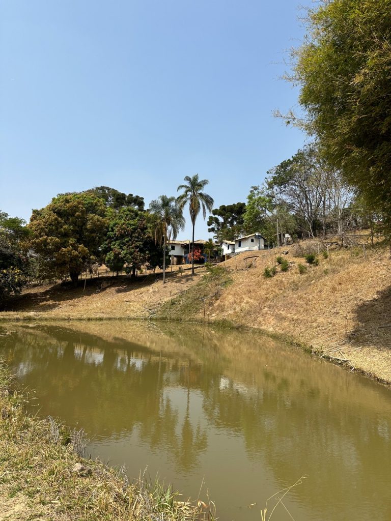 FAZENDA EM CARMÓPOLIS DE MINAS FAZENDA EM CARMÓPOLIS DE MINAS