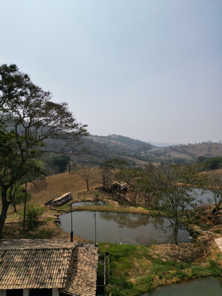 FAZENDA EM CARMÓPOLIS DE MINAS FAZENDA EM CARMÓPOLIS DE MINAS