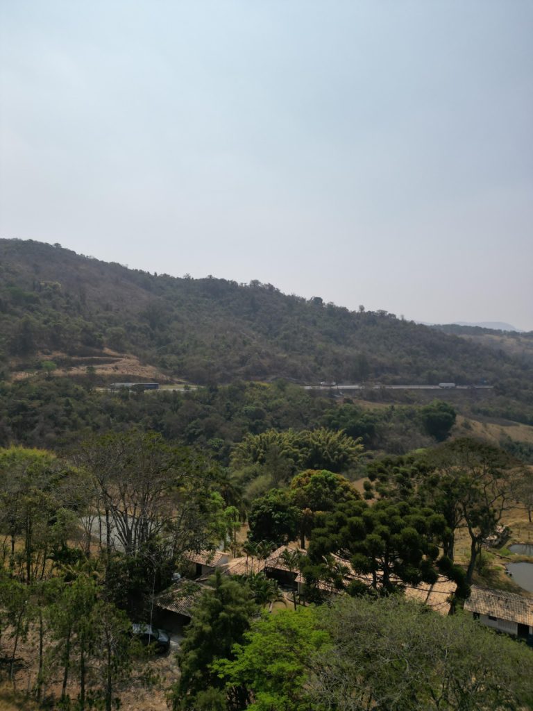 FAZENDA EM CARMÓPOLIS DE MINAS FAZENDA EM CARMÓPOLIS DE MINAS