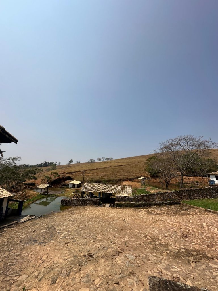 FAZENDA EM CARMÓPOLIS DE MINAS FAZENDA EM CARMÓPOLIS DE MINAS