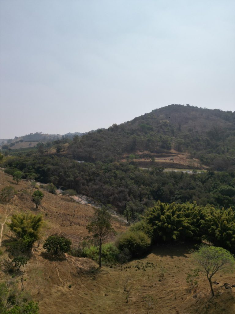 FAZENDA EM CARMÓPOLIS DE MINAS FAZENDA EM CARMÓPOLIS DE MINAS