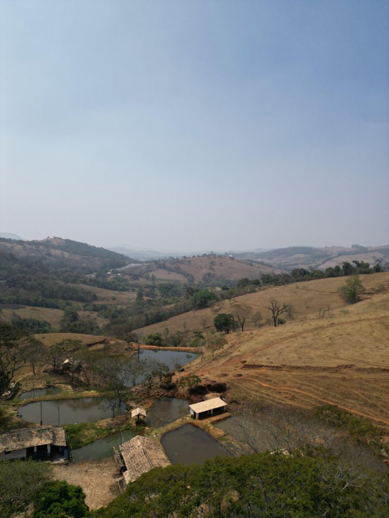 FAZENDA EM CARMÓPOLIS DE MINAS FAZENDA EM CARMÓPOLIS DE MINAS