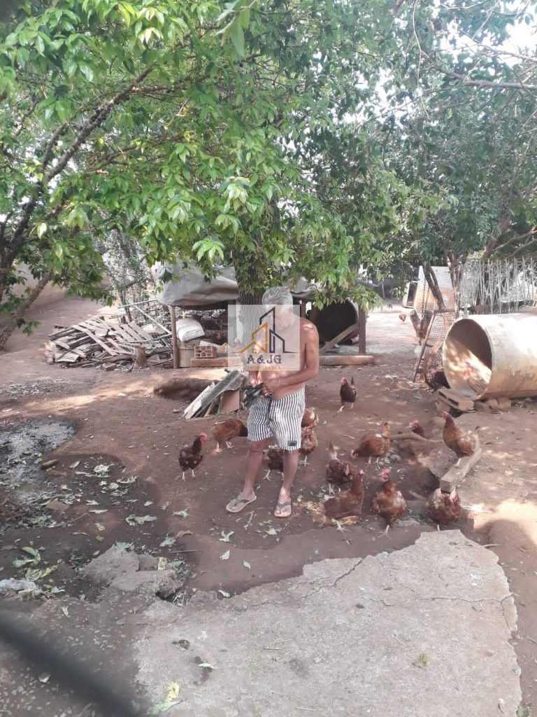 SÍTIO NO BAIRRO VILA MARIA REGINA ( ICARAÍ)