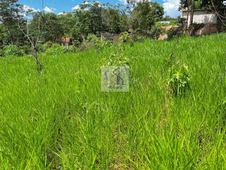 LOTE NO BAIRRO VILA MARIA REGINA ( OPORTUNIDADE)