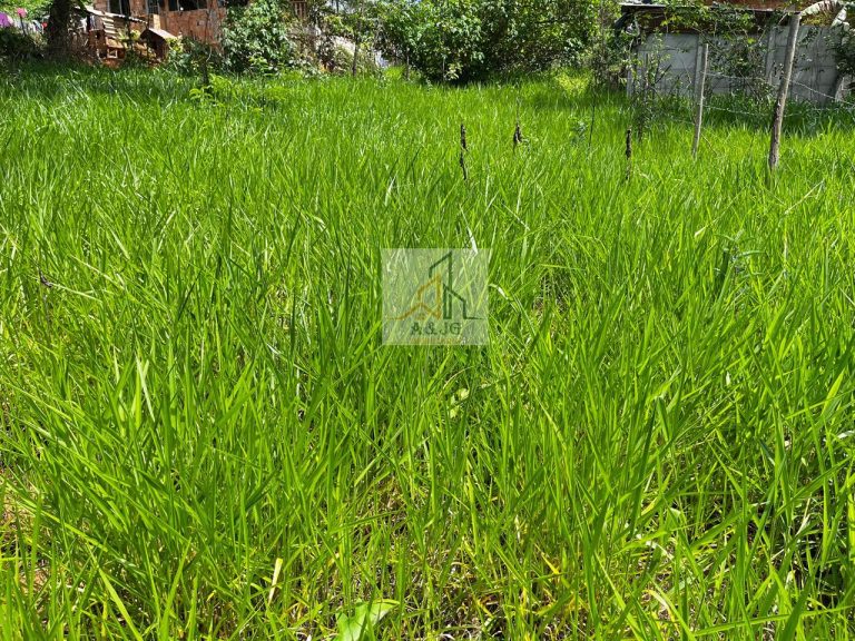 LOTE NO BAIRRO VILA MARIA REGINA ( OPORTUNIDADE)